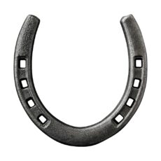 5061098720053 1 Steel Plant Support Horse Shoe.jpg